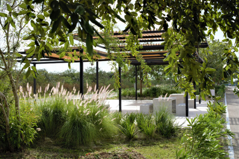 parque-2-1.jpg