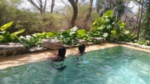 cosas que hacer en yucatán