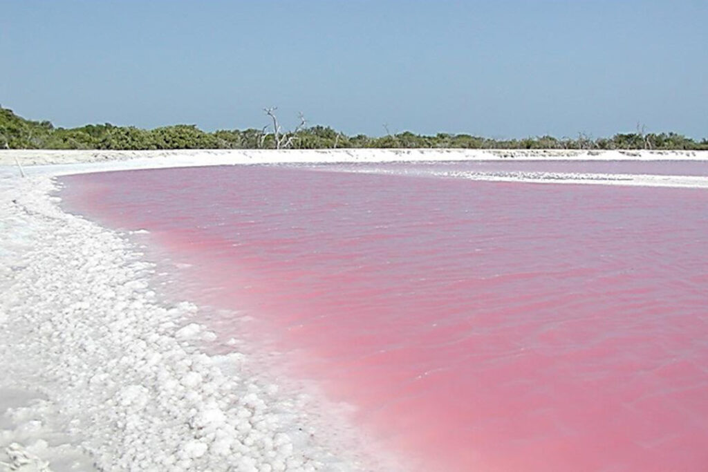 Lago rosa en Las Coloradas Yucatán