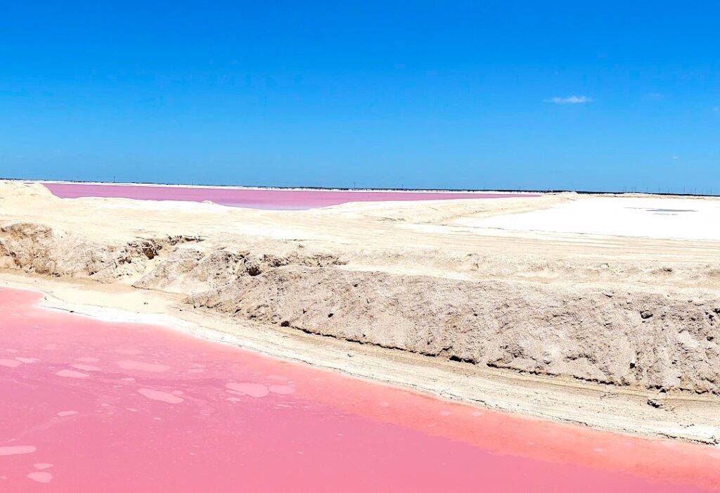 Playa Las Coloradas Yucatán y sus lagos rosados